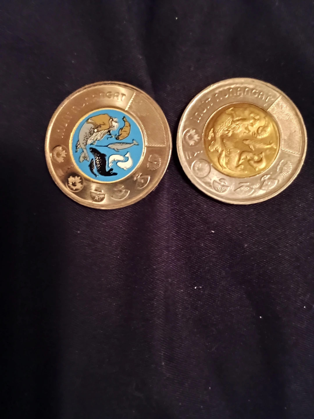Two Canadian toonie Coins - photo 2