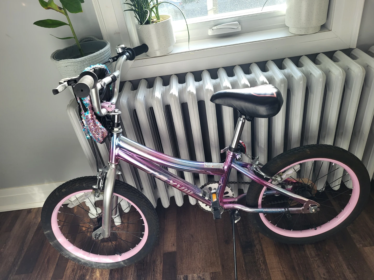 Schwinn Girls Bicycle