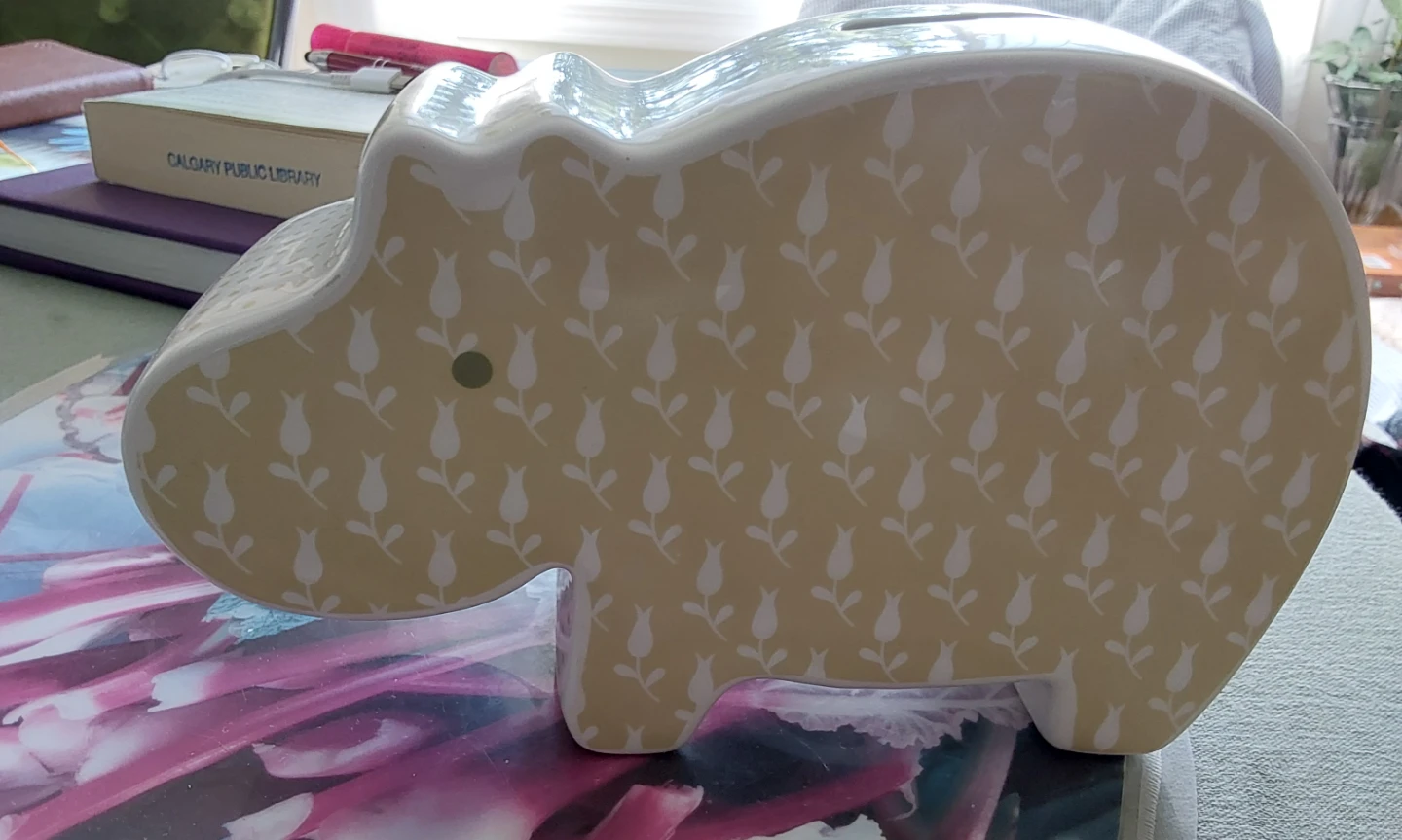 Ceramic Hippo Piggy Bank purchased at CHAPTERS