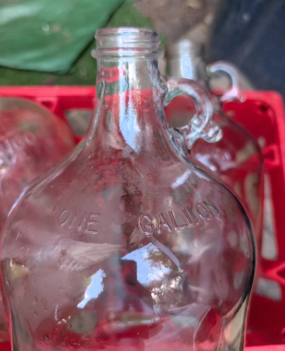 Large Green Demijohn in Wicker Basket - photo 5