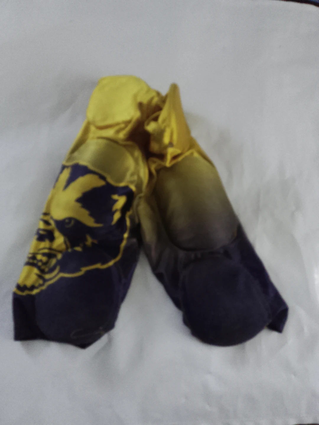 Dmaxx Sports Youth football pants with pads size ys