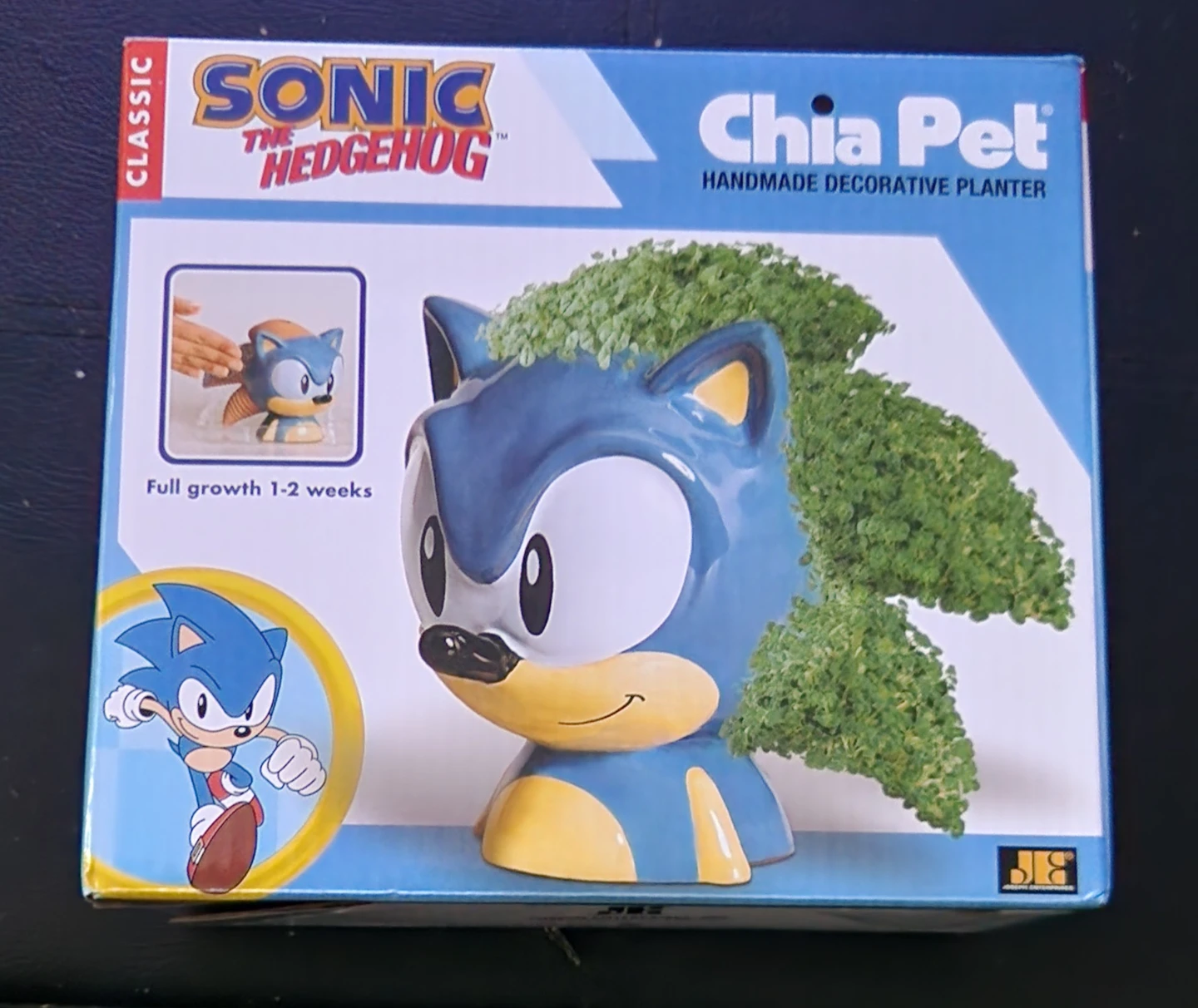 Sonic the Hedgehog Chia Pet (Open Box But Contents Untouched) ⚽️