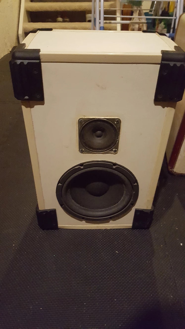 2-Way Speaker