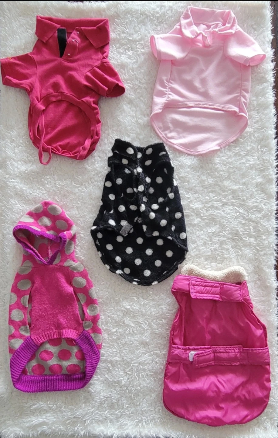 Bundle of 5 Dog Sweaters & Vests