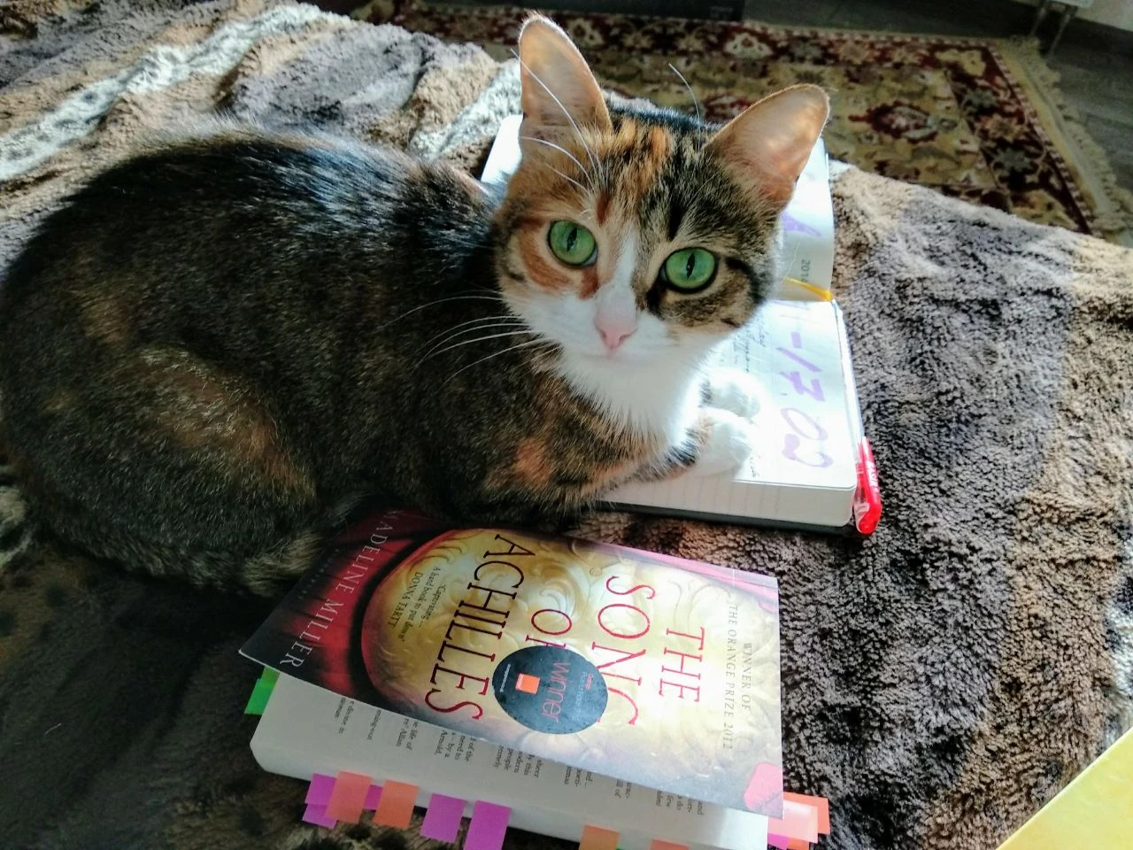 The Song of Achilles by Madeline Miller Book