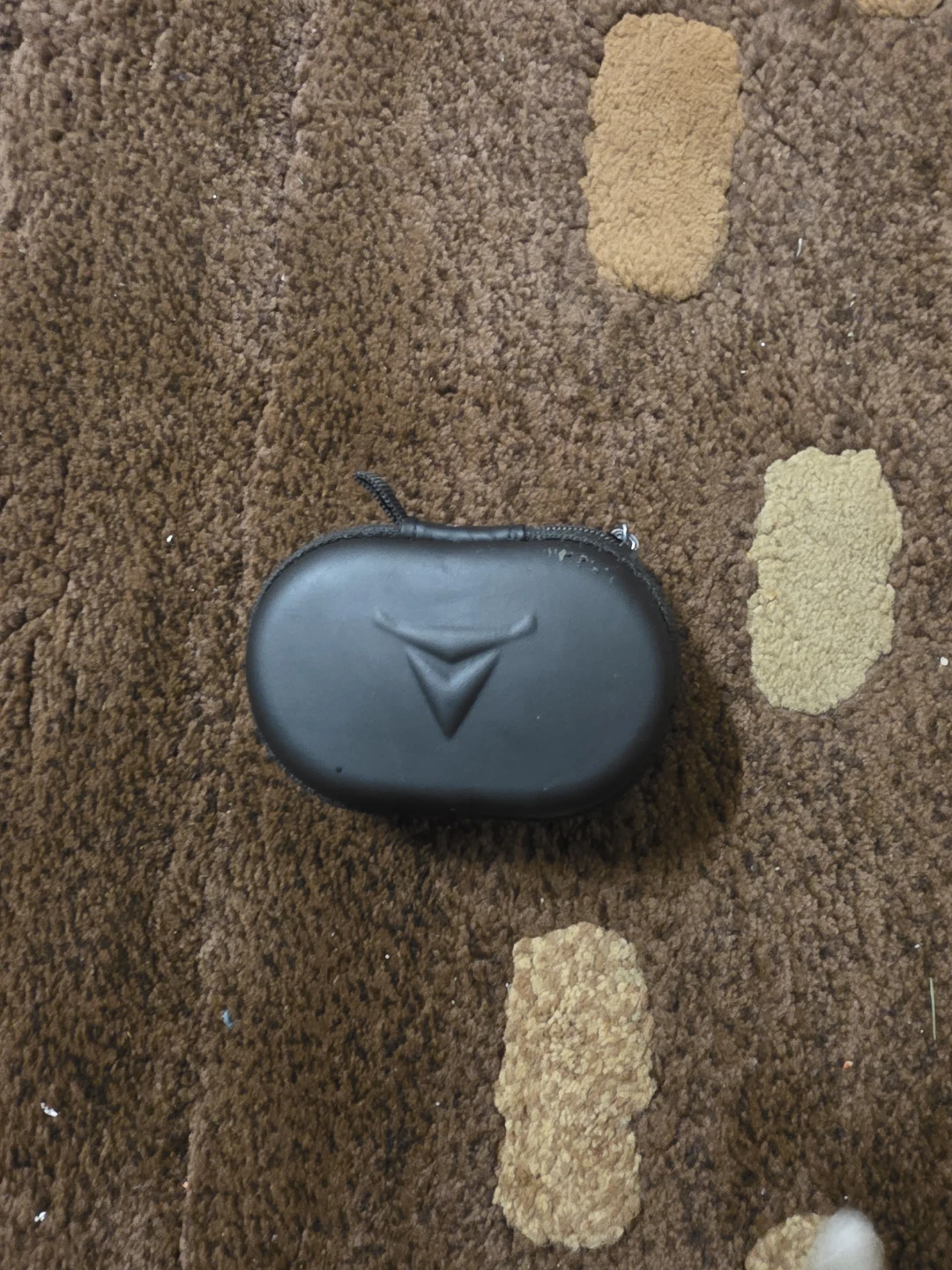 Black Protective Carrying Case