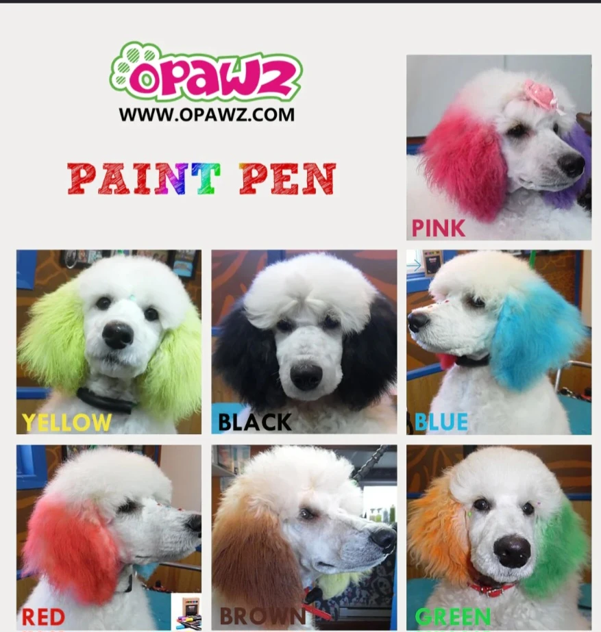 OPAWZ Paint Pens - 12 Colors - photo 3