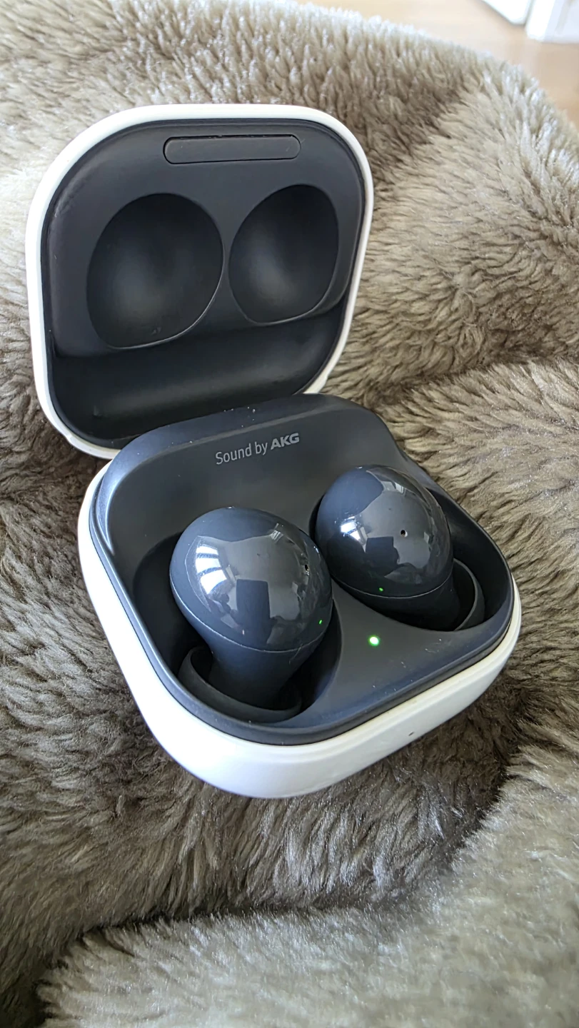 Samsung Galaxy Buds 2 Pro - photo 3