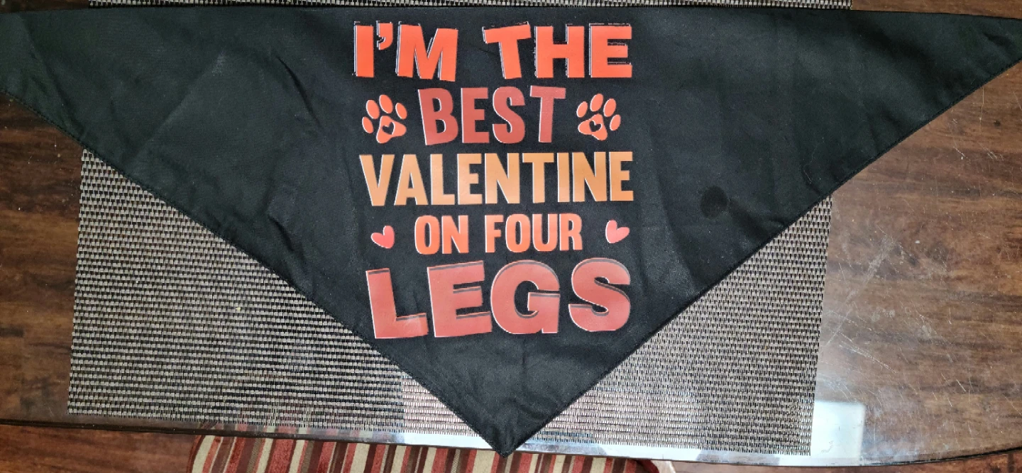 Dog Bandana - "I'm the Best Valentine on Four Legs"