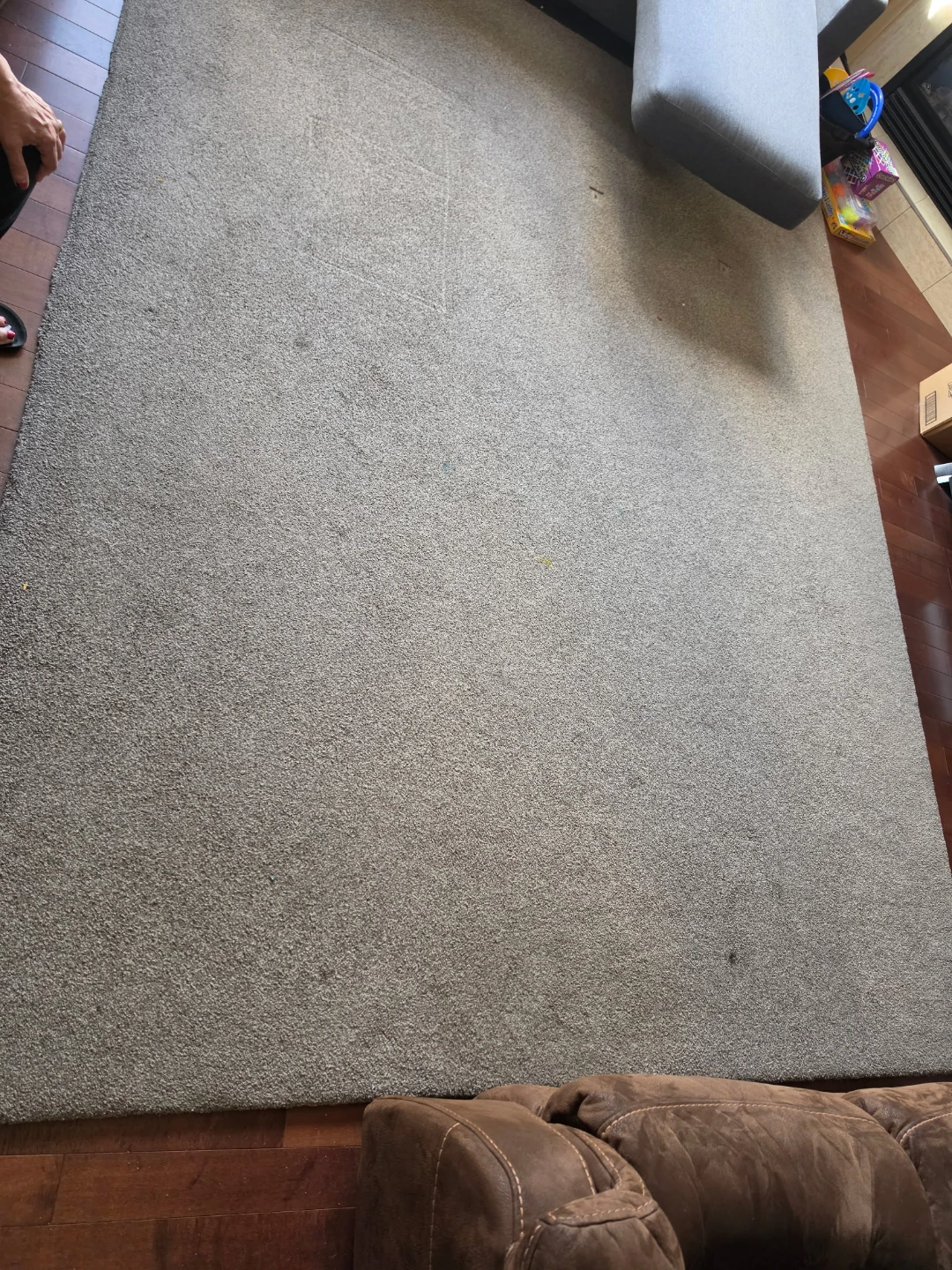 Large Area Rug