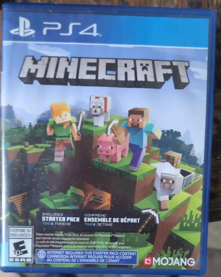PS4 game