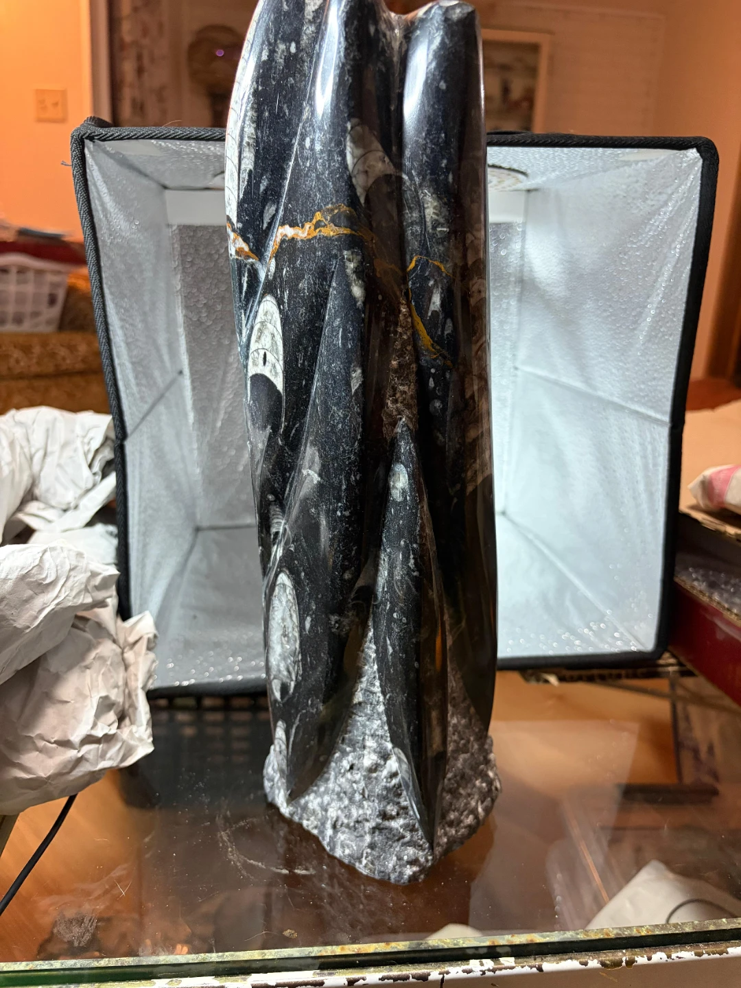 Fossil Orthoceras Sculpture 12" - photo 3