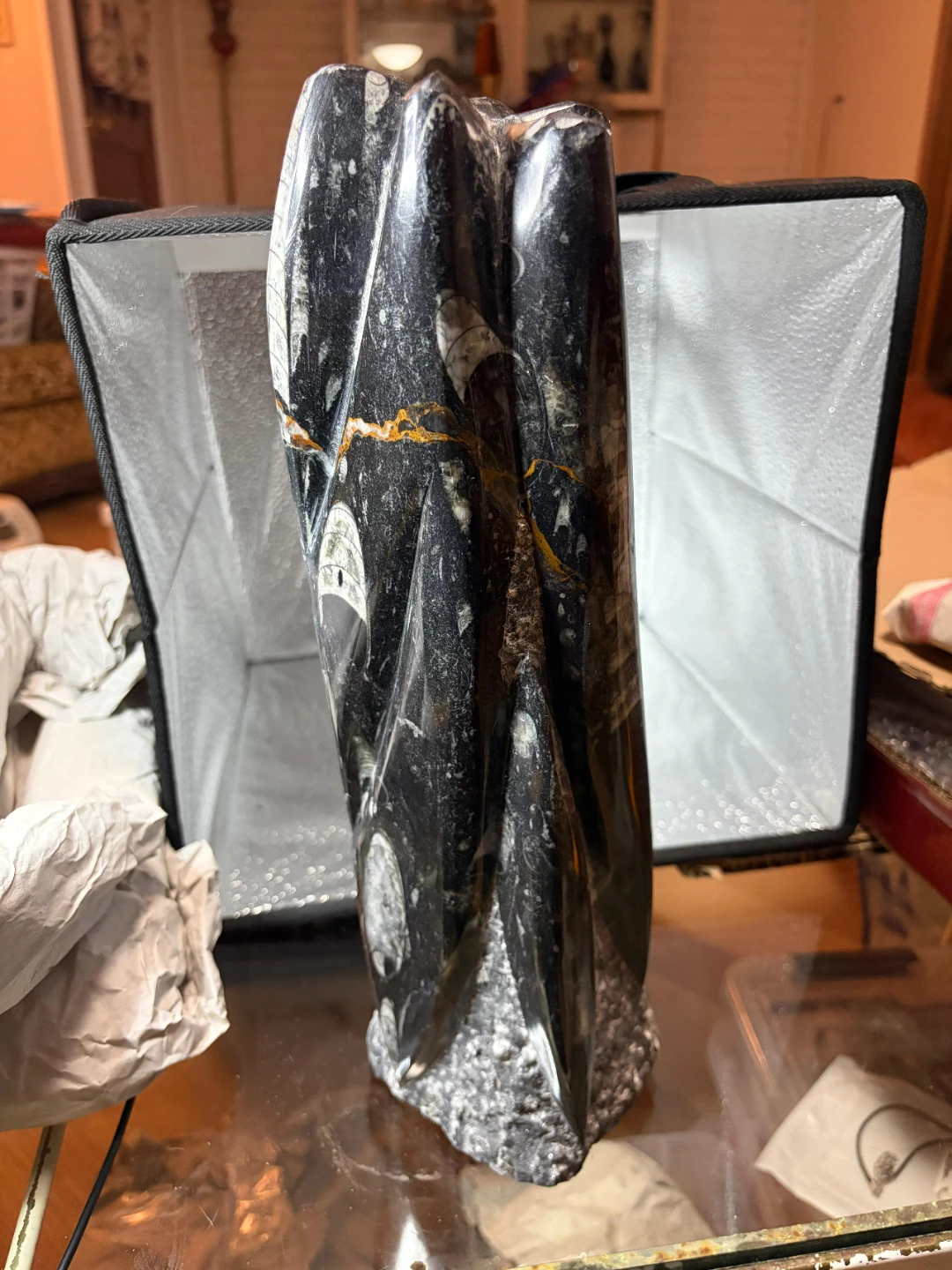 Fossil Orthoceras Sculpture 12" - photo 4