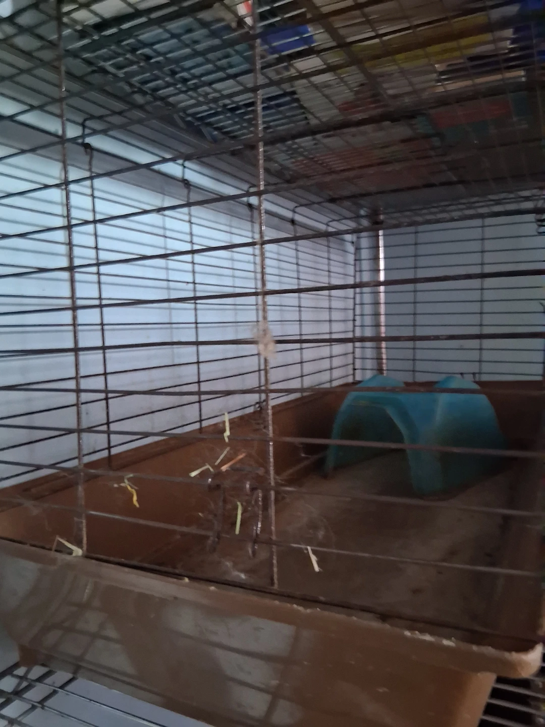 Large Pet Cage with Plastic Base - photo 2