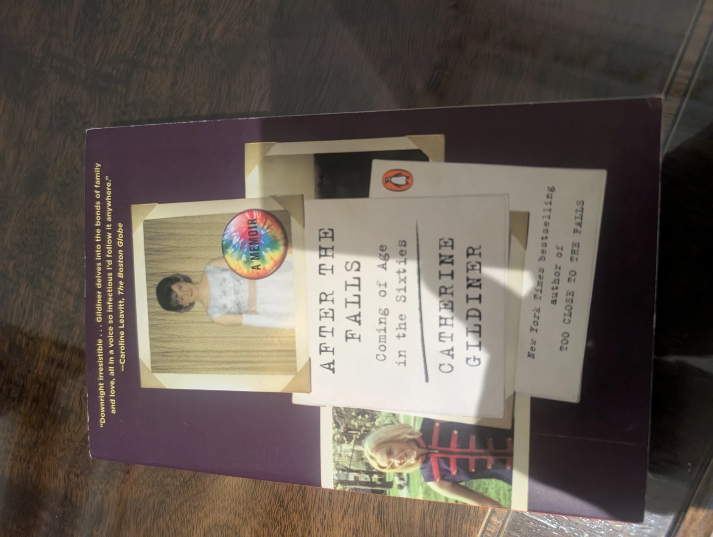After the Falls: Coming of Age in the Sixties - photo 2
