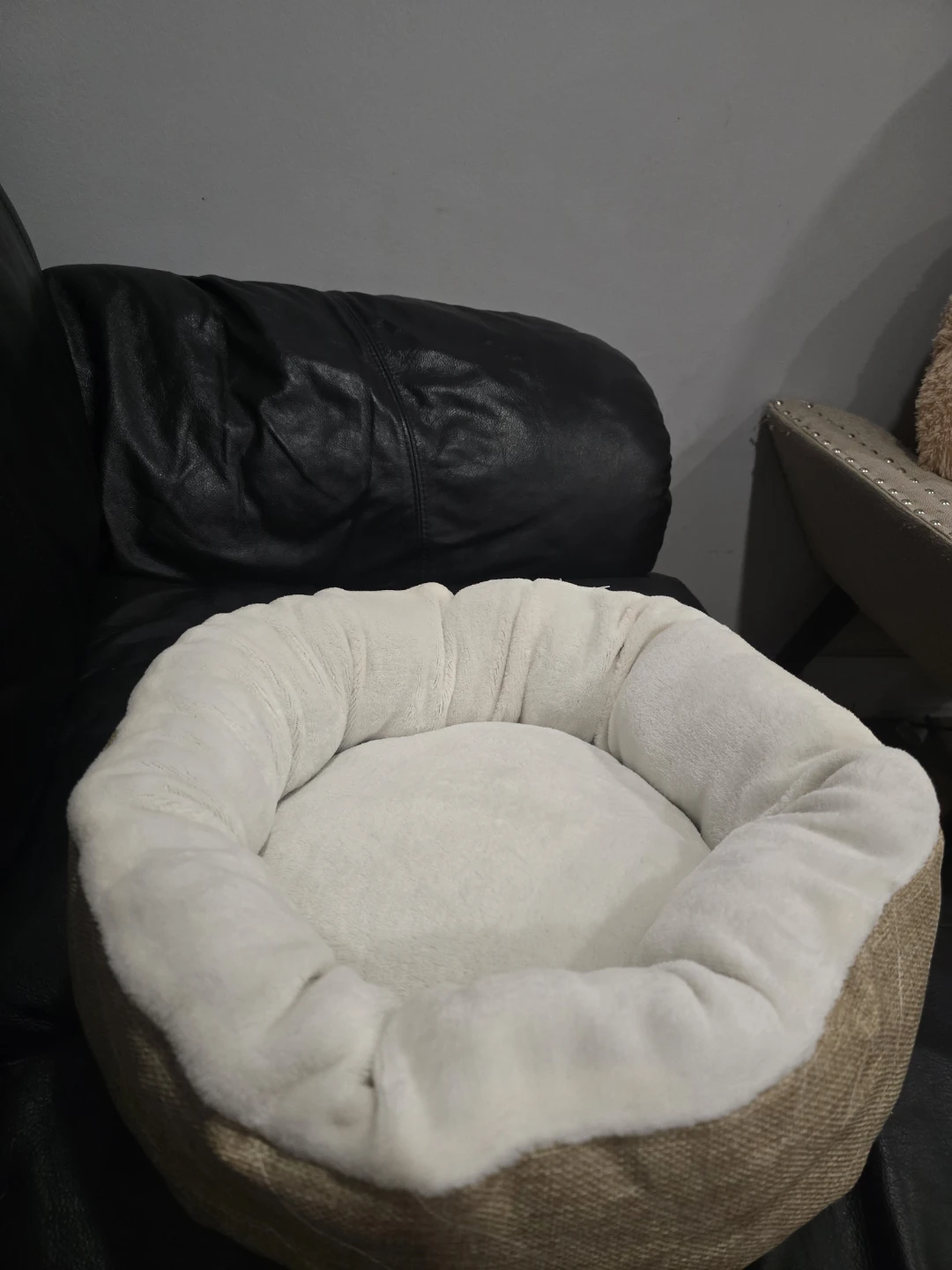 Dog bed