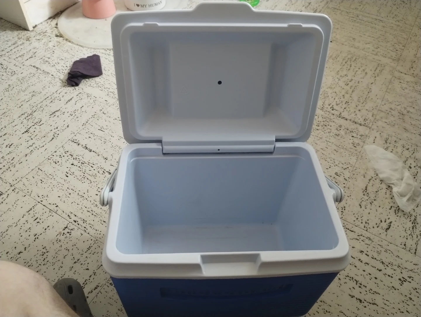 Rubbermaid Blue Cooler - photo 3