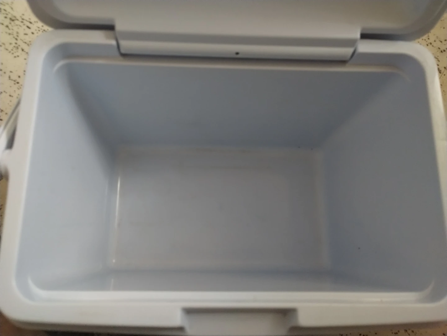 Rubbermaid Blue Cooler - photo 4