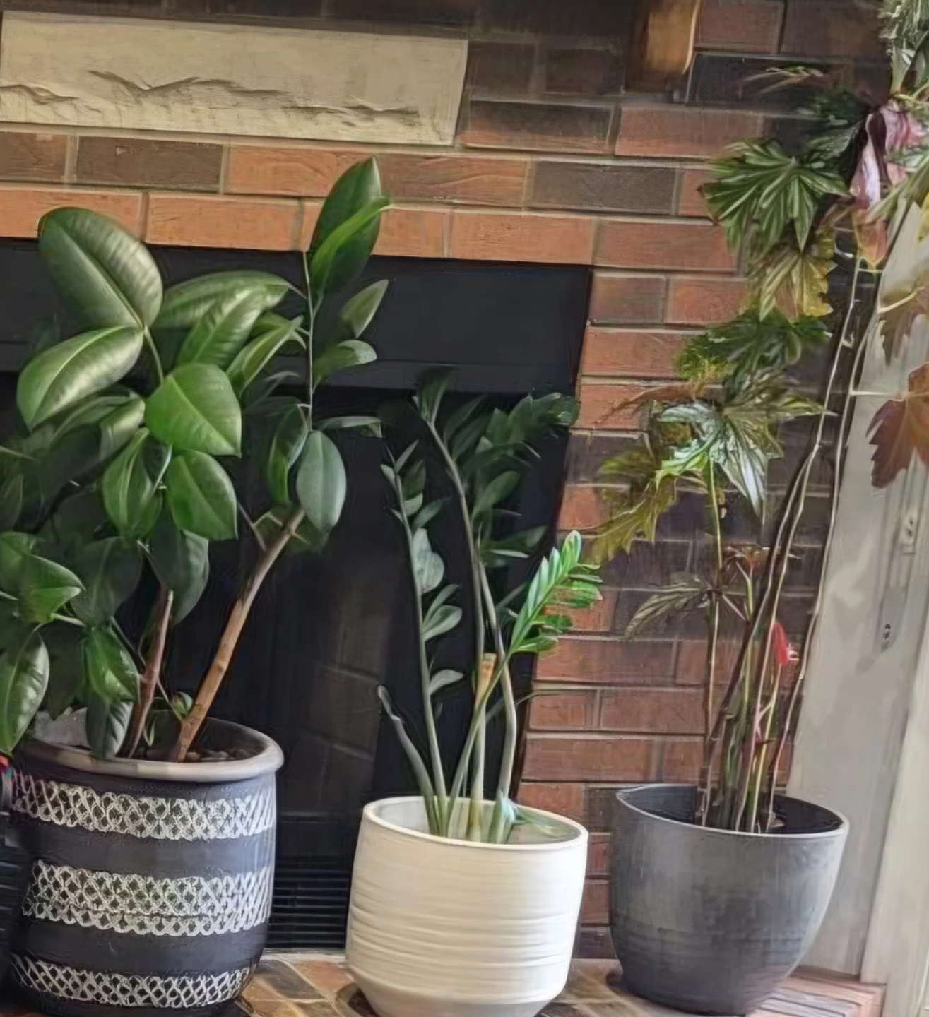 Decorative Planter Pots - Home Sense - photo 5