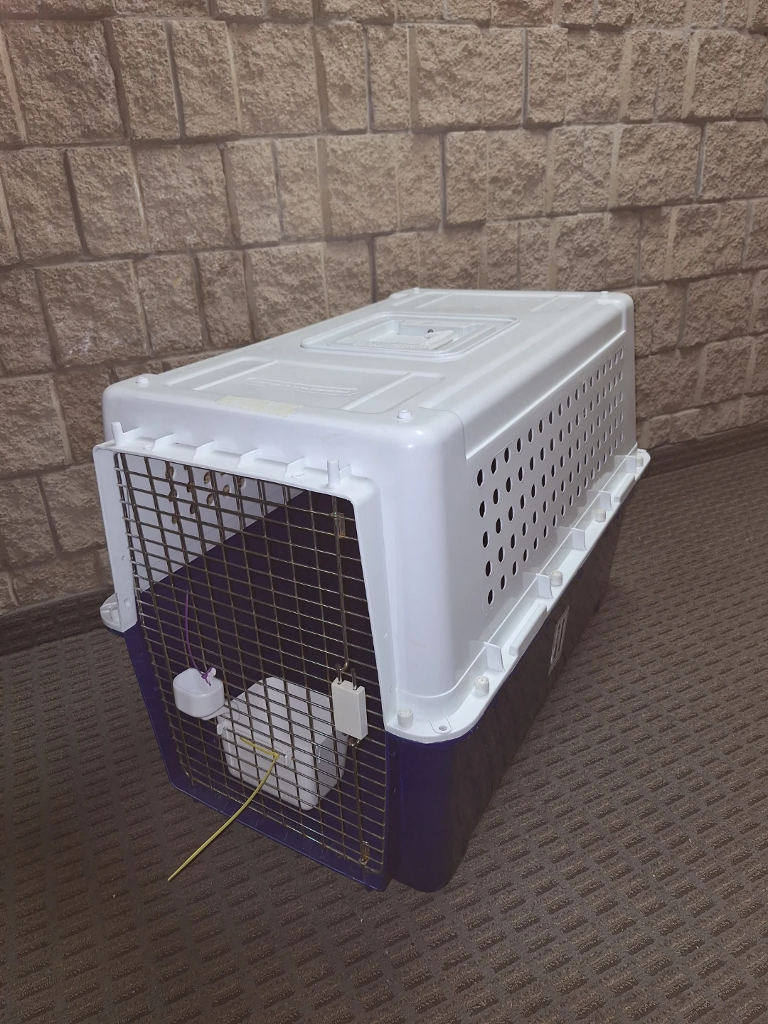 Large Airline/Travel Pet Crate