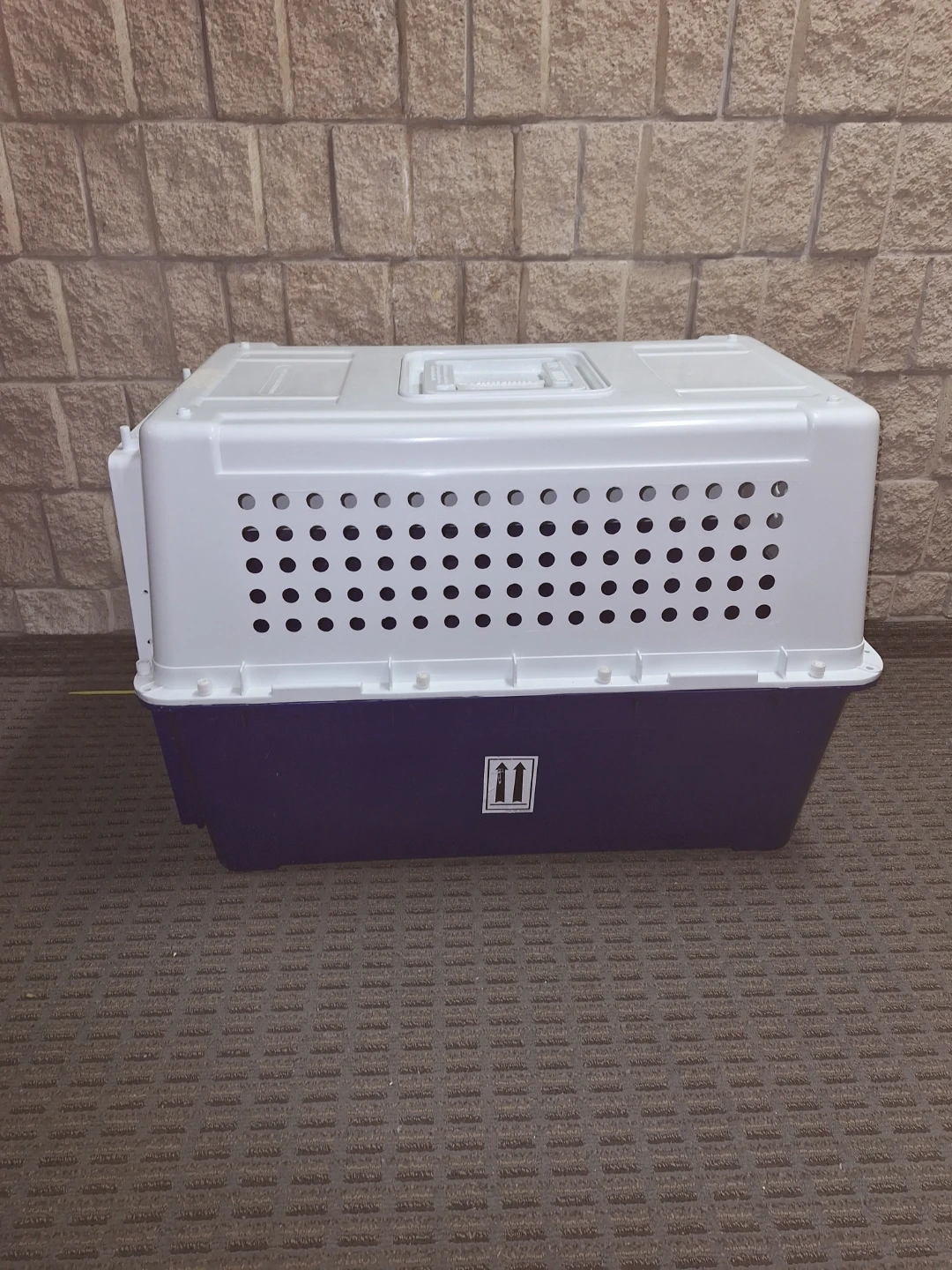 Large Airline/Travel Pet Crate - photo 2