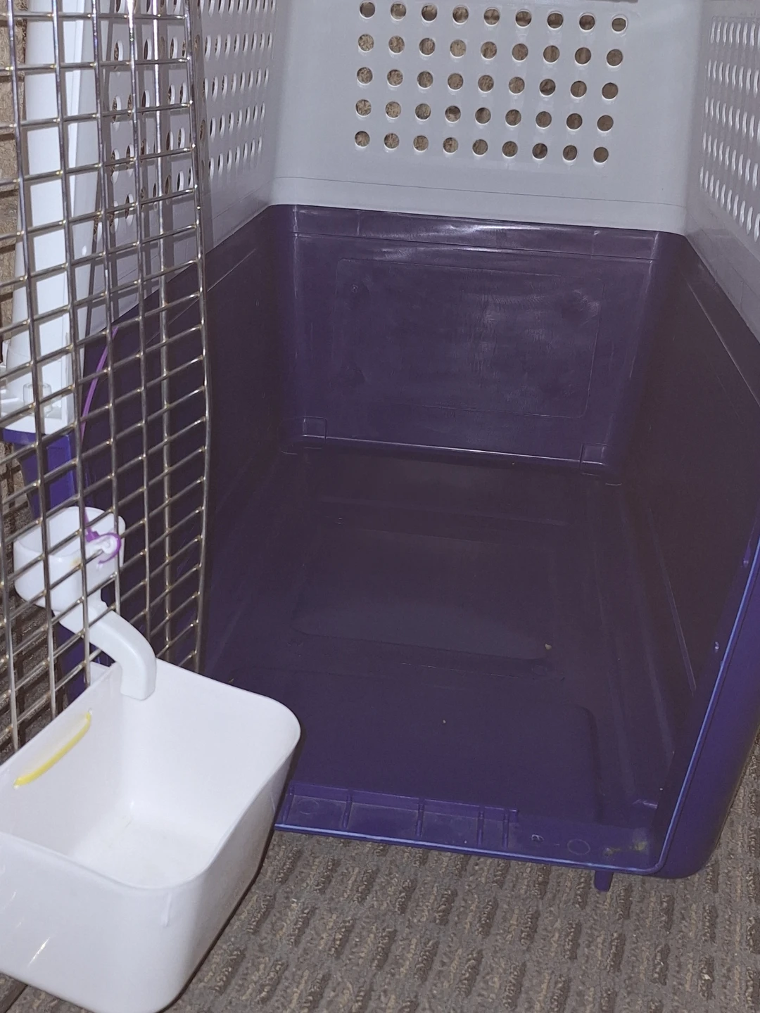 Large Airline/Travel Pet Crate - photo 5