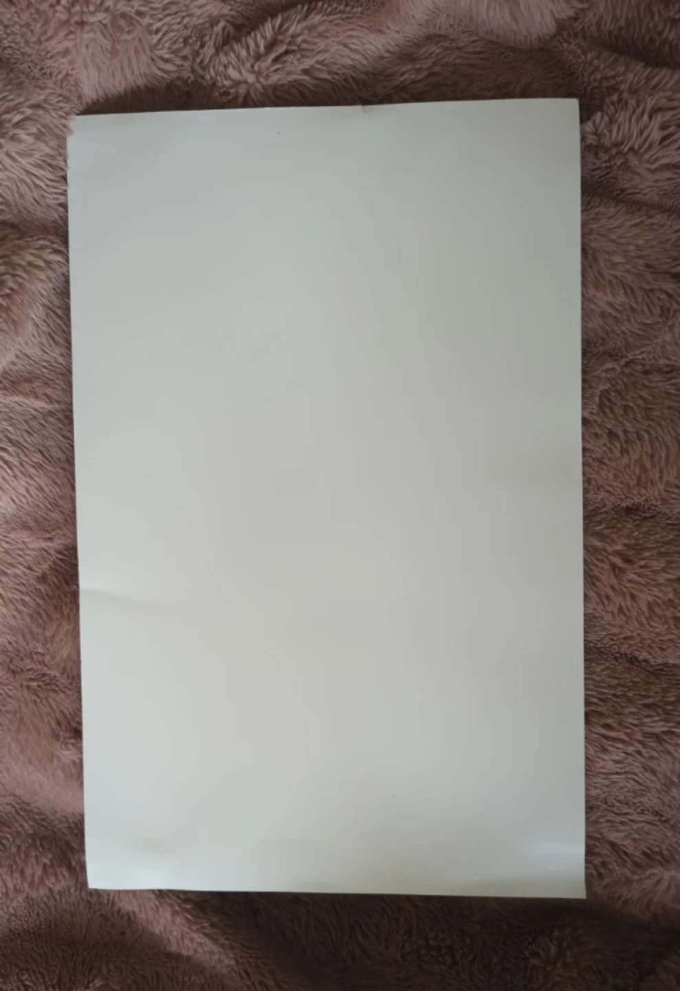 Indiana Jones Poster - photo 2
