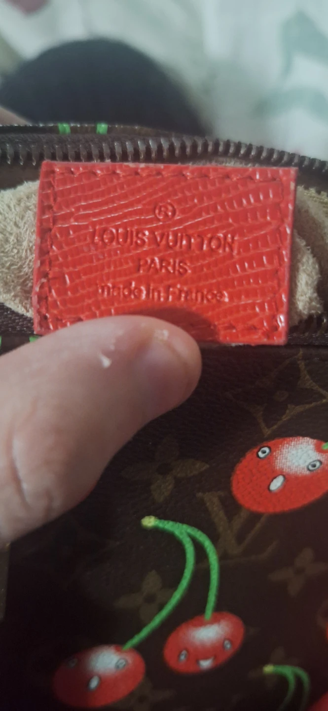 Louis Vuitton Speedy Cherry Monogram Bag - photo 3