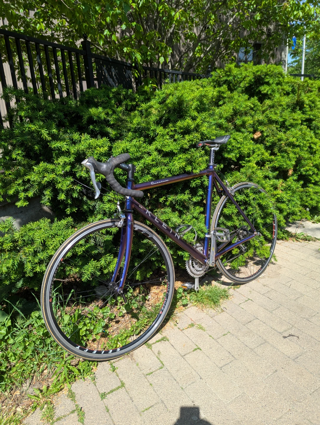 Vintage Klein Quantum Road Bike - Plum Crazy - photo 2