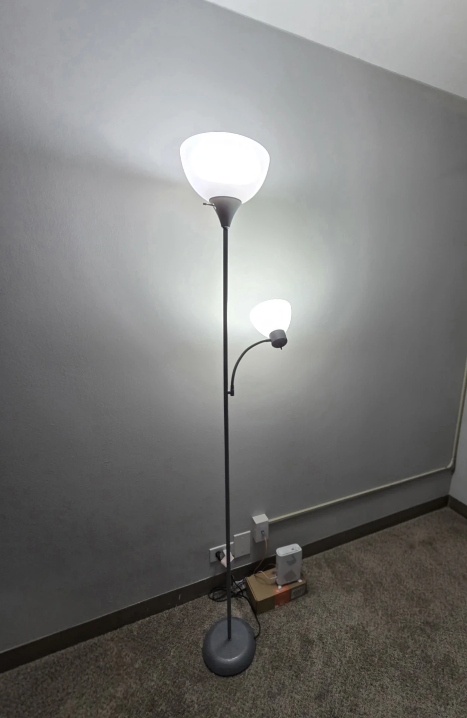 Adjustable Floor Lamp with Reading Light
