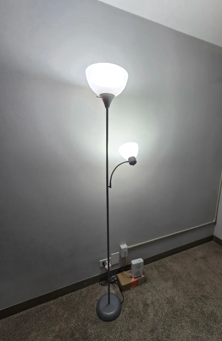 Adjustable Floor Lamp with Reading Light