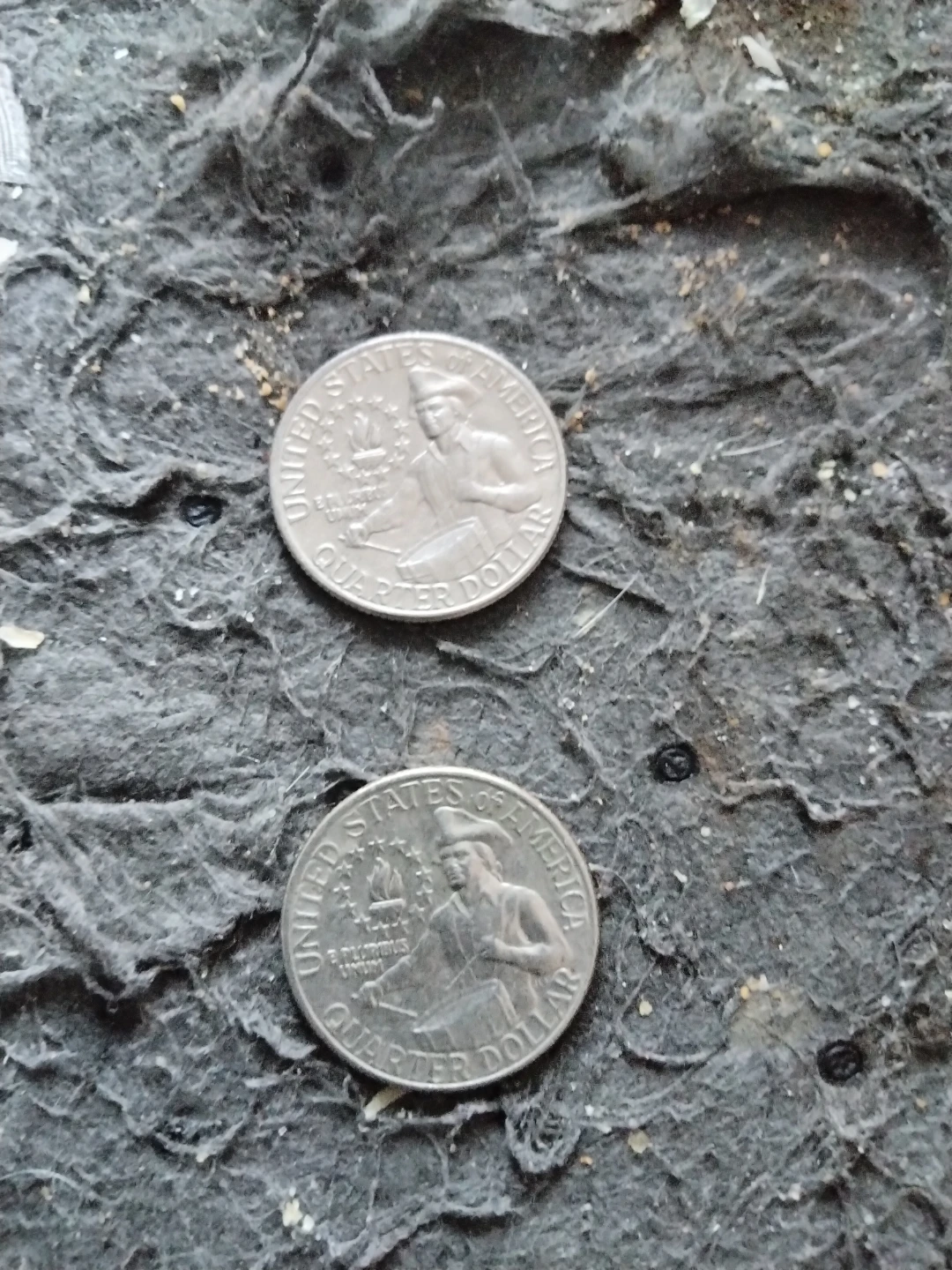 Two United States Quarters