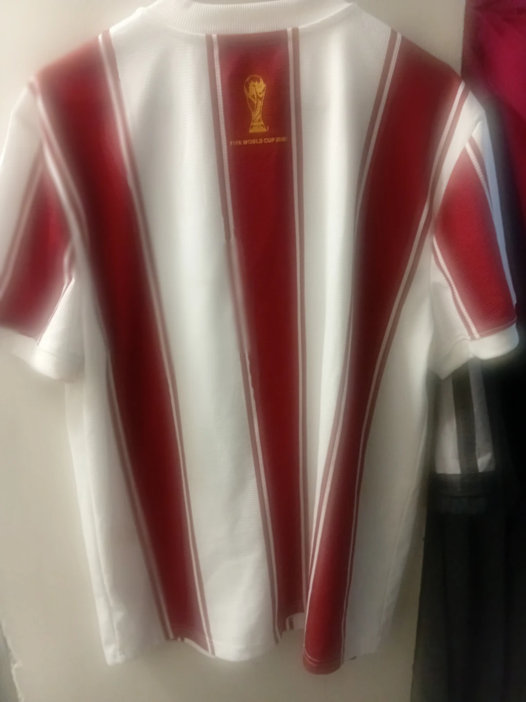 FIFA World Cup 2026™ Official Licensed T-Shirt - L/G - photo 2