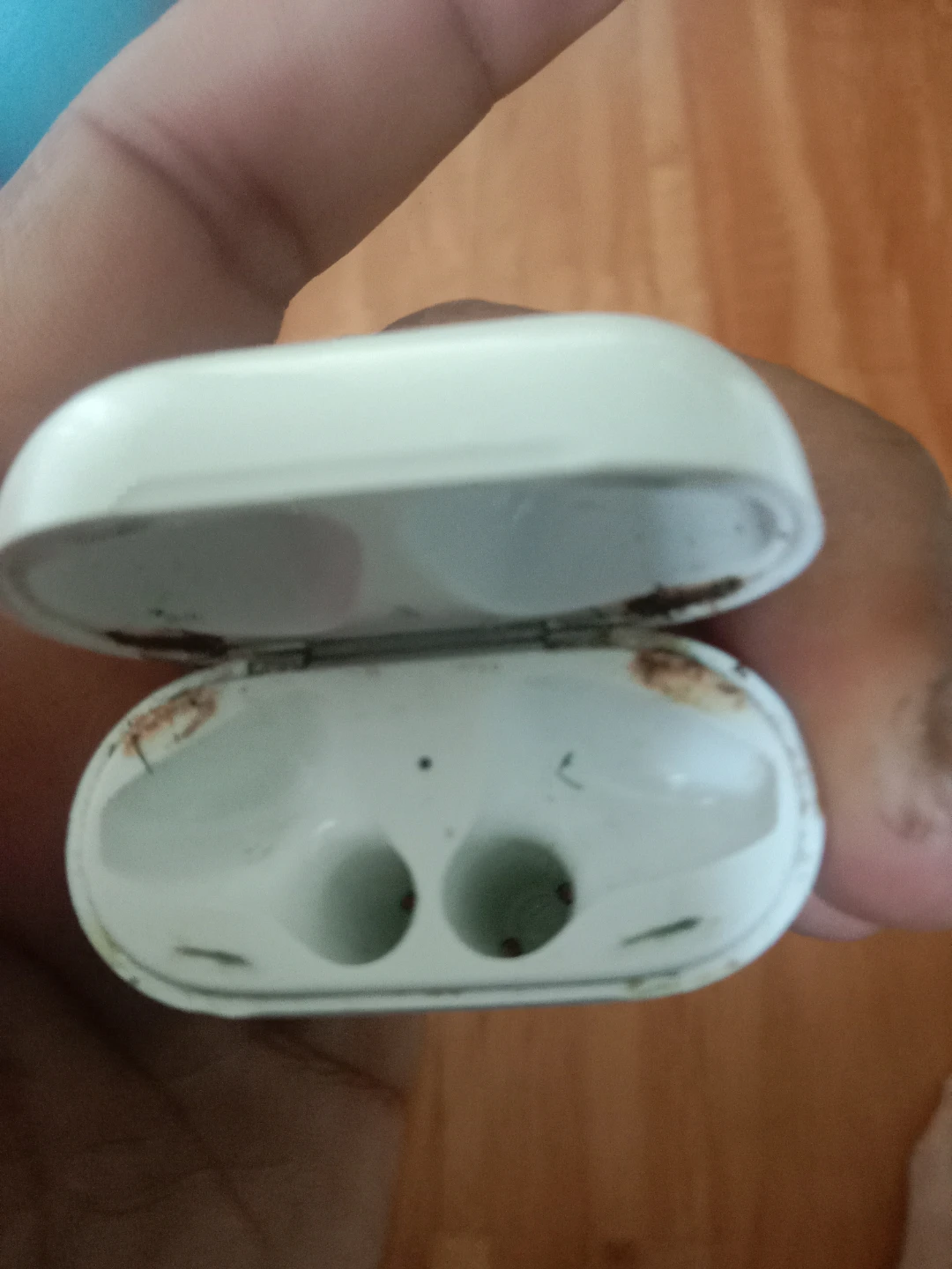Apple AirPods Charging Case