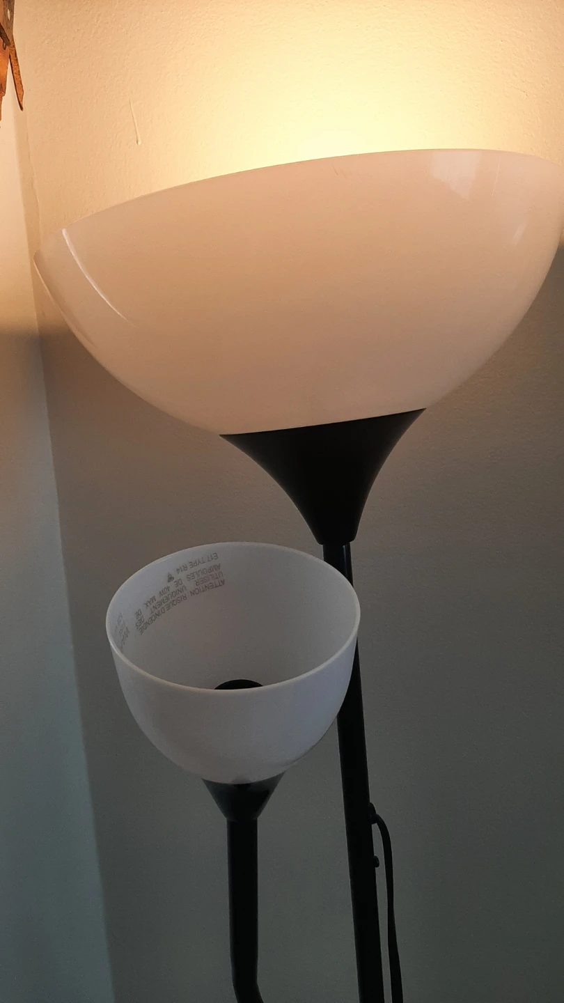Black Floor Lamp with Two Lights