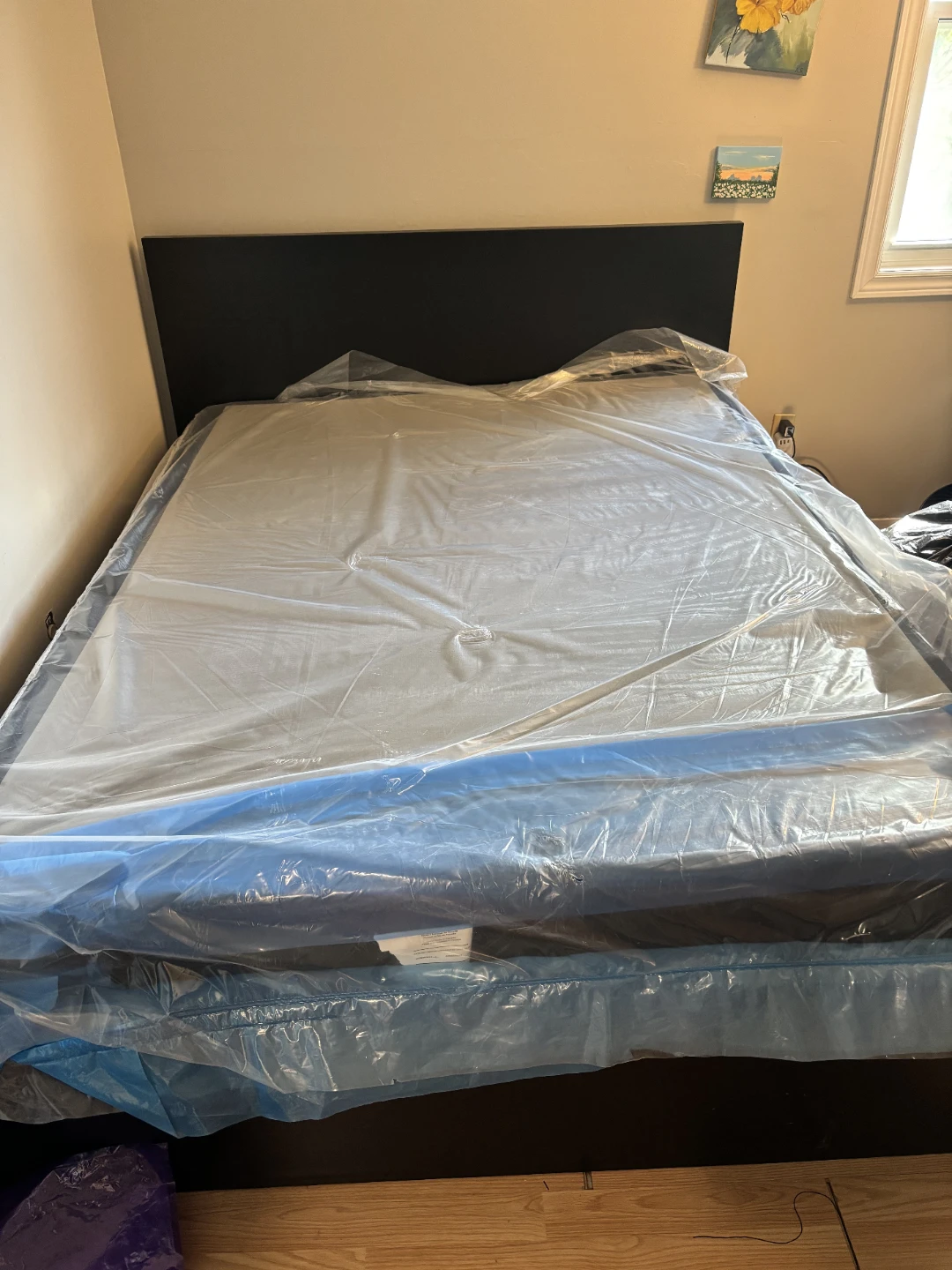 Stearns & Foster Kirkland Lakeridge Queen Box Spring