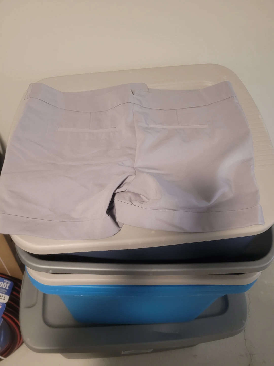 Hervé Léger Shorts Size 14 - photo 3