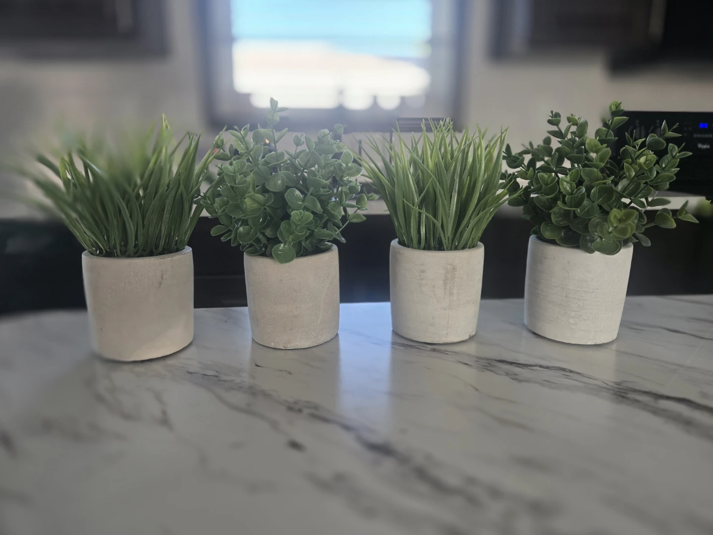 New fake plants