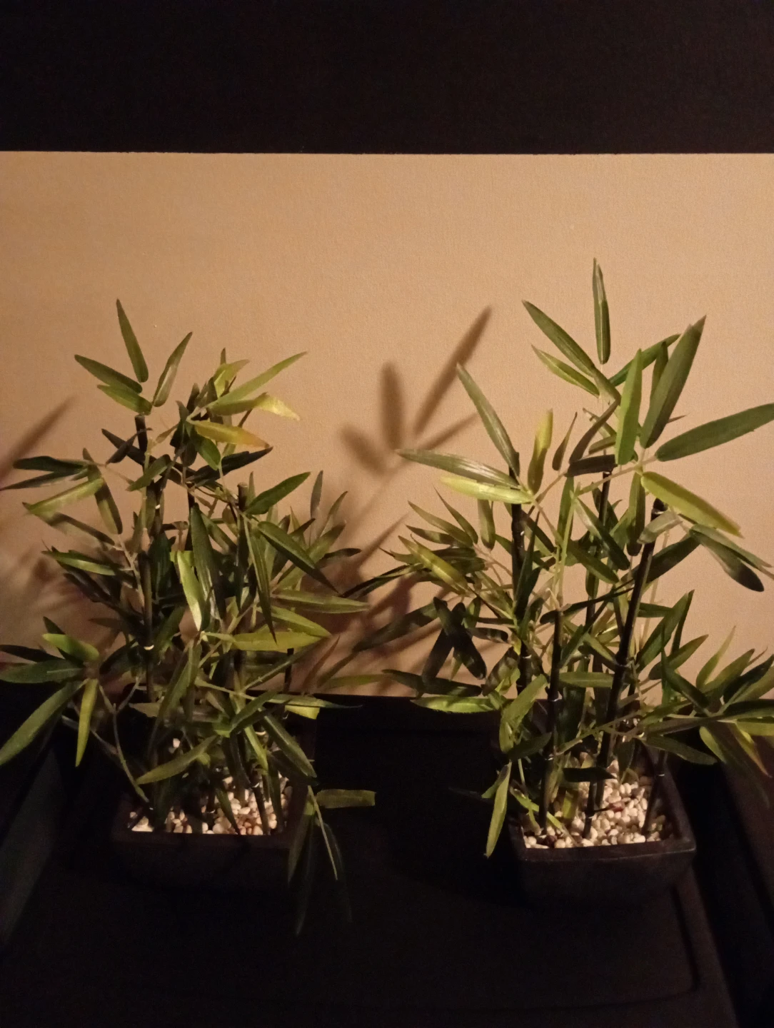 Artificial Bamboo Plants in Pot