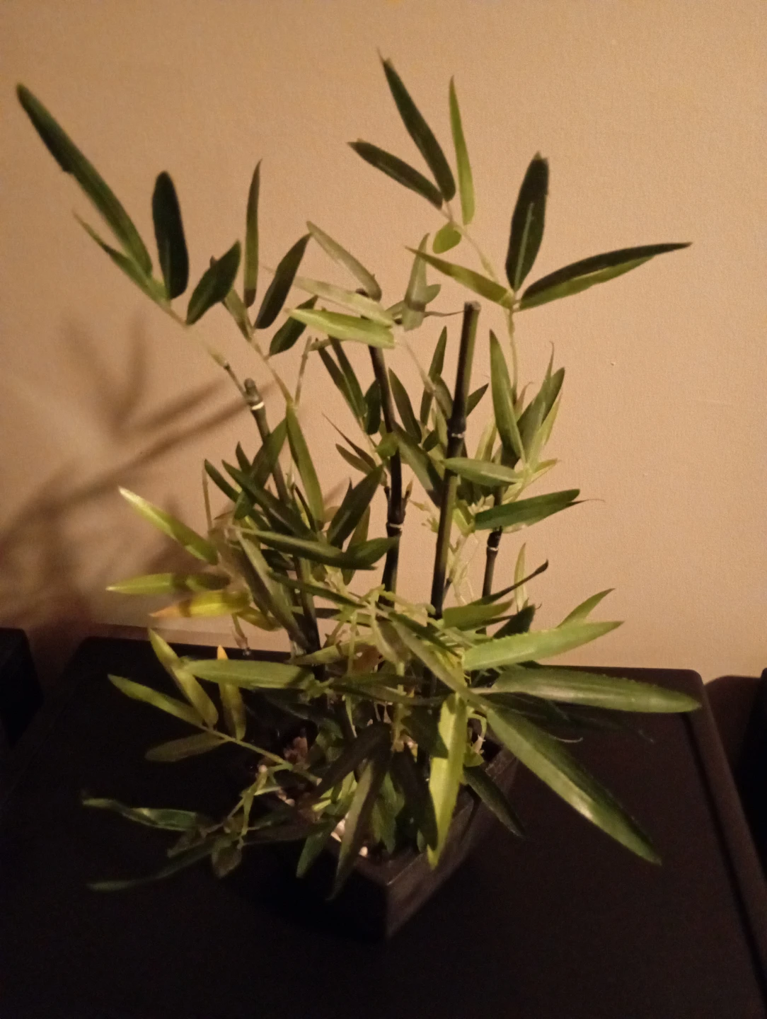 Artificial Bamboo Plants in Pot - photo 3