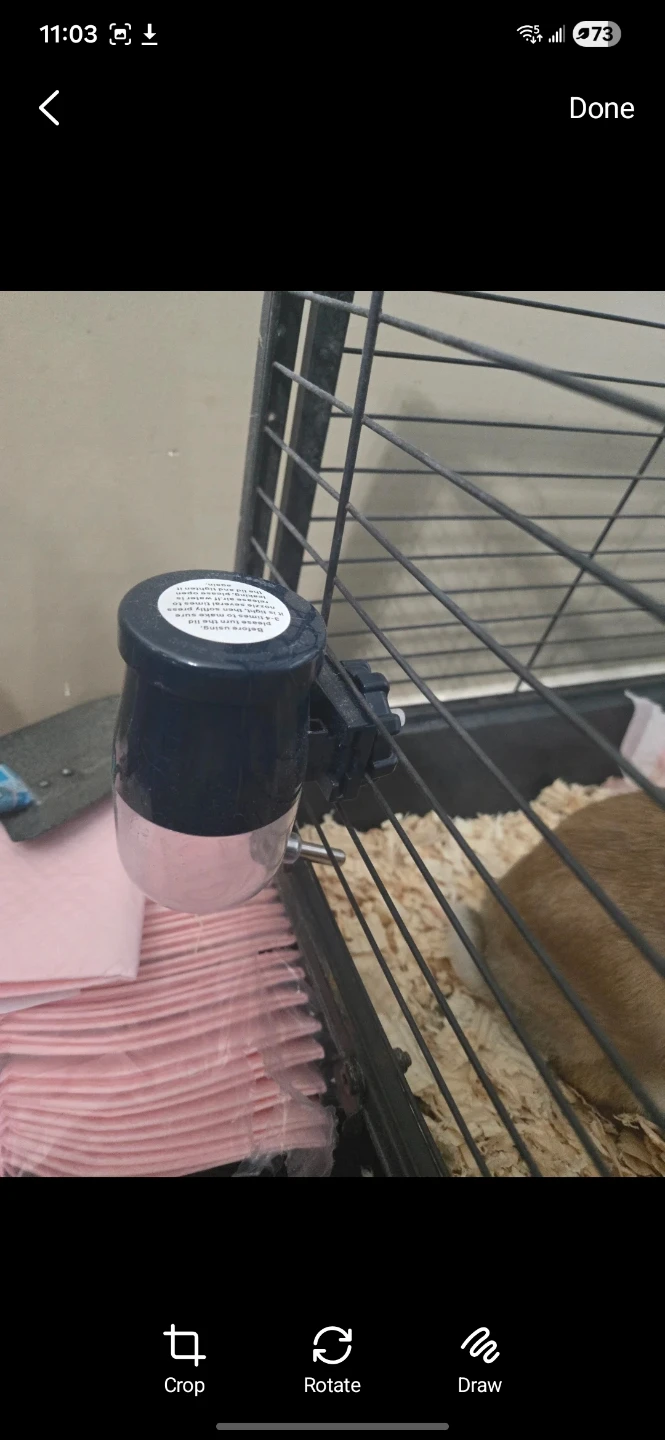 Small Pet Water Bottle Dispenser and food tray - photo 2