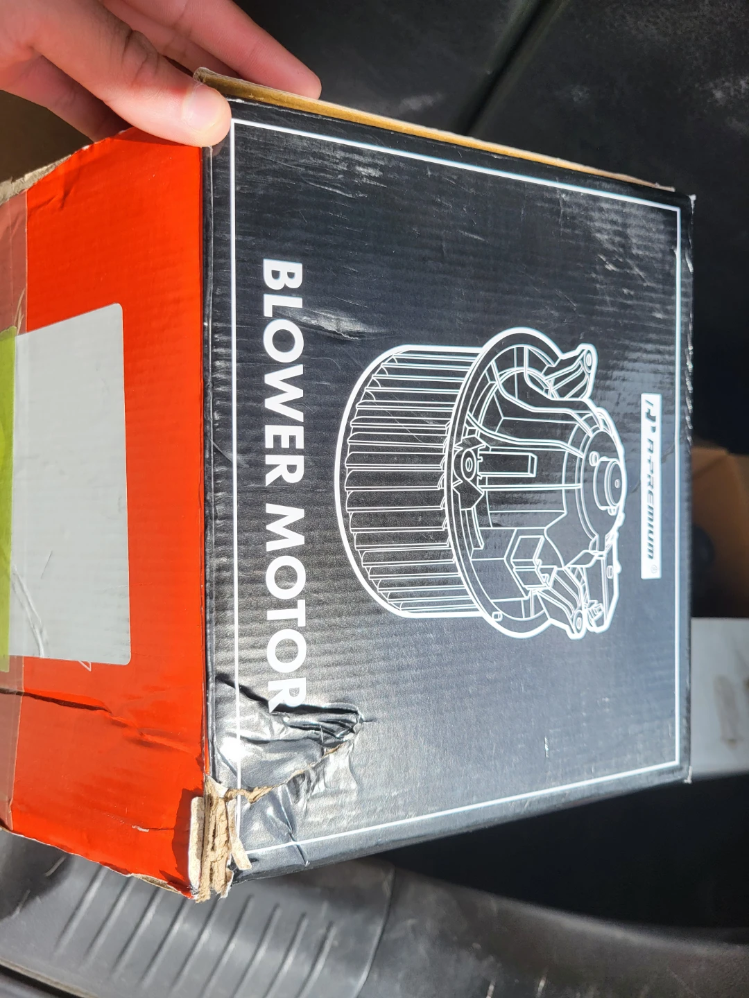 Blower Motor
