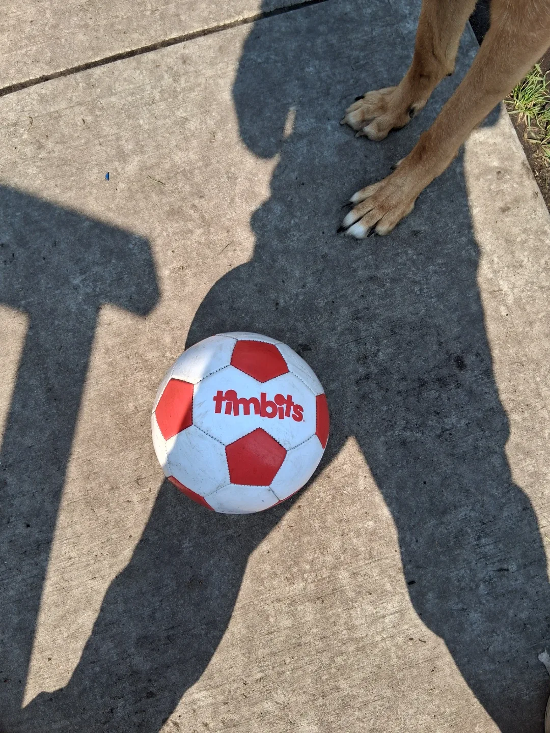 Timbits Soccer Ball