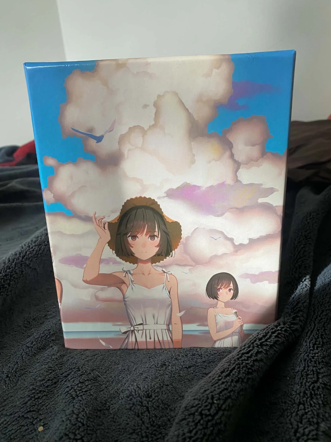 Monogatari Season 2 ans Final Season Nisioisin Box Sets - photo 2