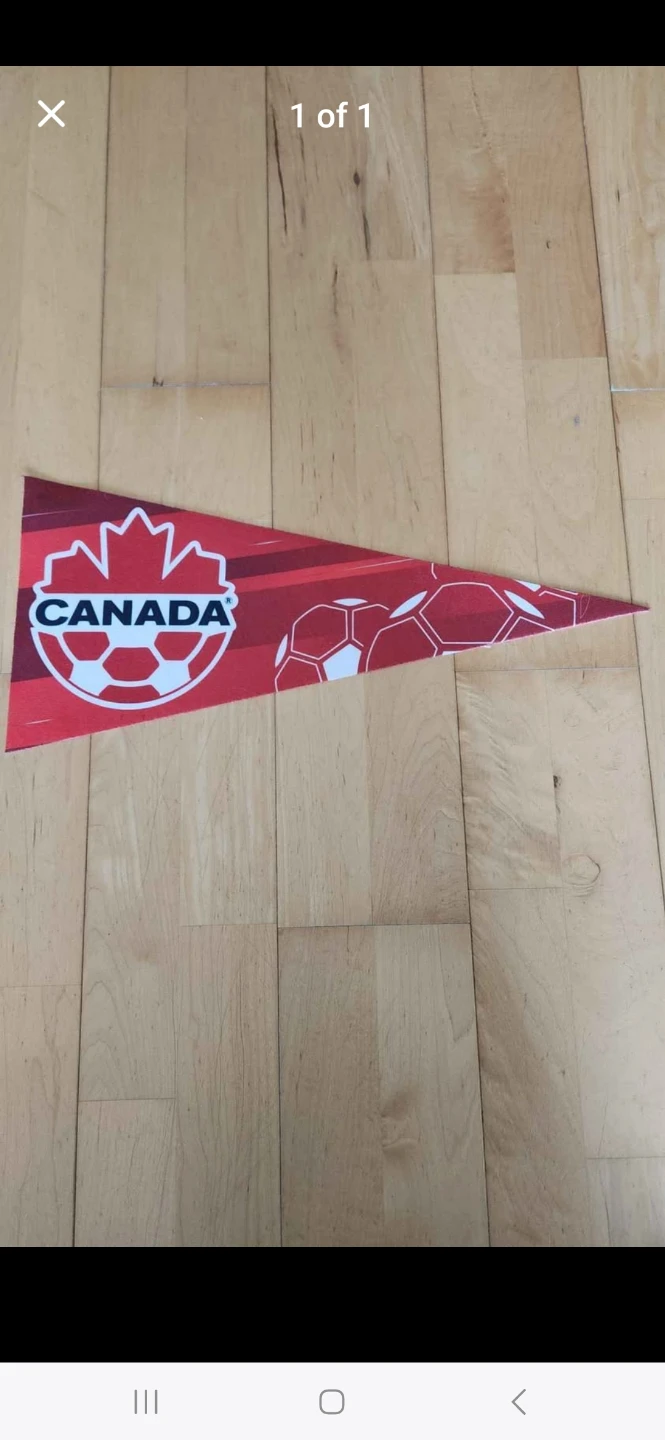 Canada Soccer Red Pannant Flag