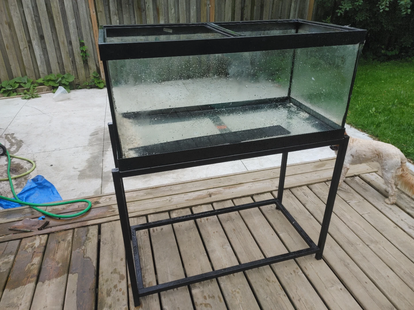 50 gallon Aquarium with stand - photo 4