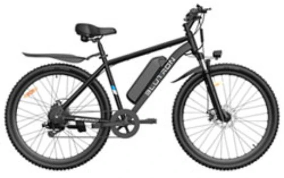 BLUTRON Electric Bicycle