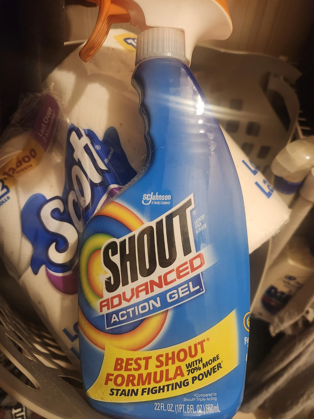 Shout Advanced Action Gel Laundry Stain Remover 22 oz