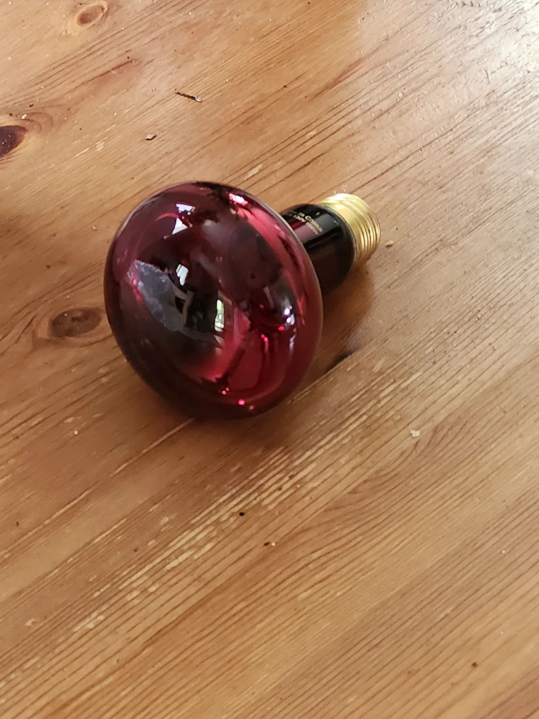 100W Red Heat Lamp Bulb