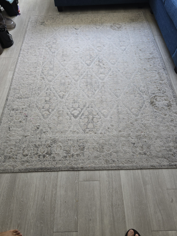 Area Rug